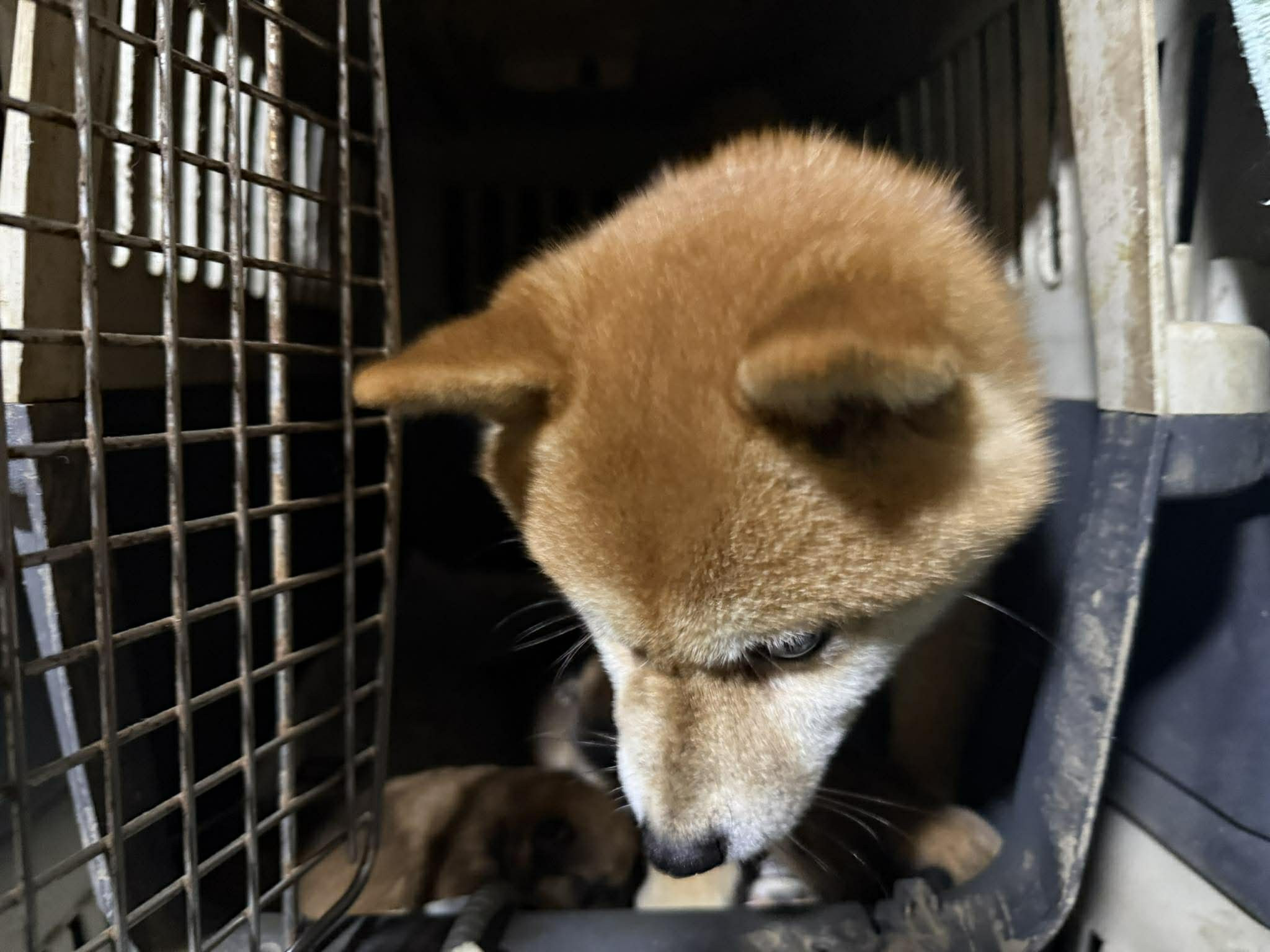 スタッフブログ更新しました