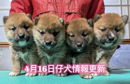 667886309_1279544736919747_8870256155049529615_n (1).jpg