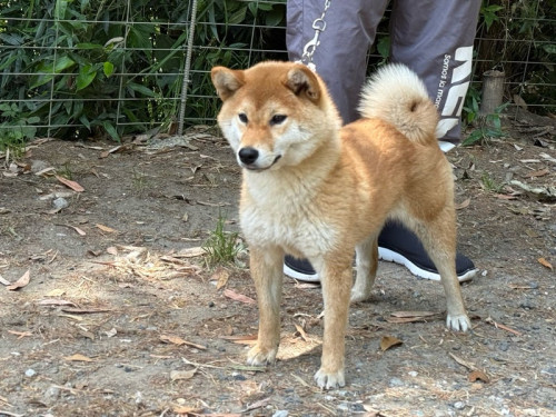 o1080081015784542590 (2).jpg