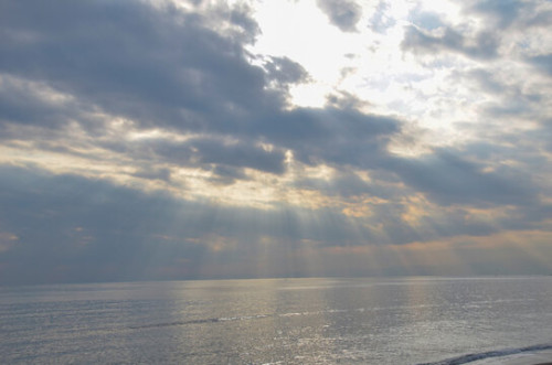 360_F_1520906441_R0WWiXMUaBuI1DNvEmF02cg0PuVdhZOI.jpg