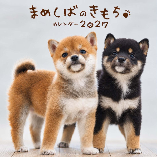 19e7e0db-8ded-4e99-96db-66d1e16647f5.jpg