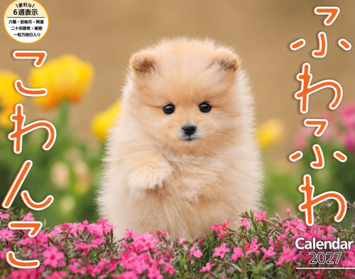 9aea0b10-a6d9-4b61-8bd1-0b4efd3573ac.jpg