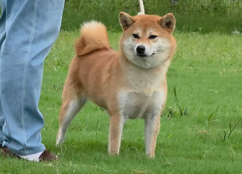 811830050_1097059562916739_7014561368919738489_n.jpg