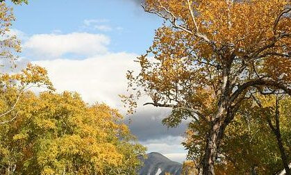 autumn-gedb38c061_640-e1661960463557.jpg