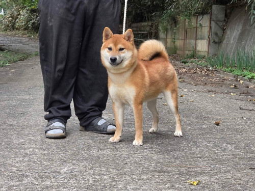859884543_2182773292638804_5797648381208542111_n.jpg