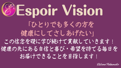 Ｖｉｓｉｏｎ.png