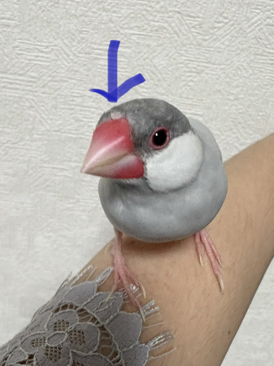 ご飯粒ついてる