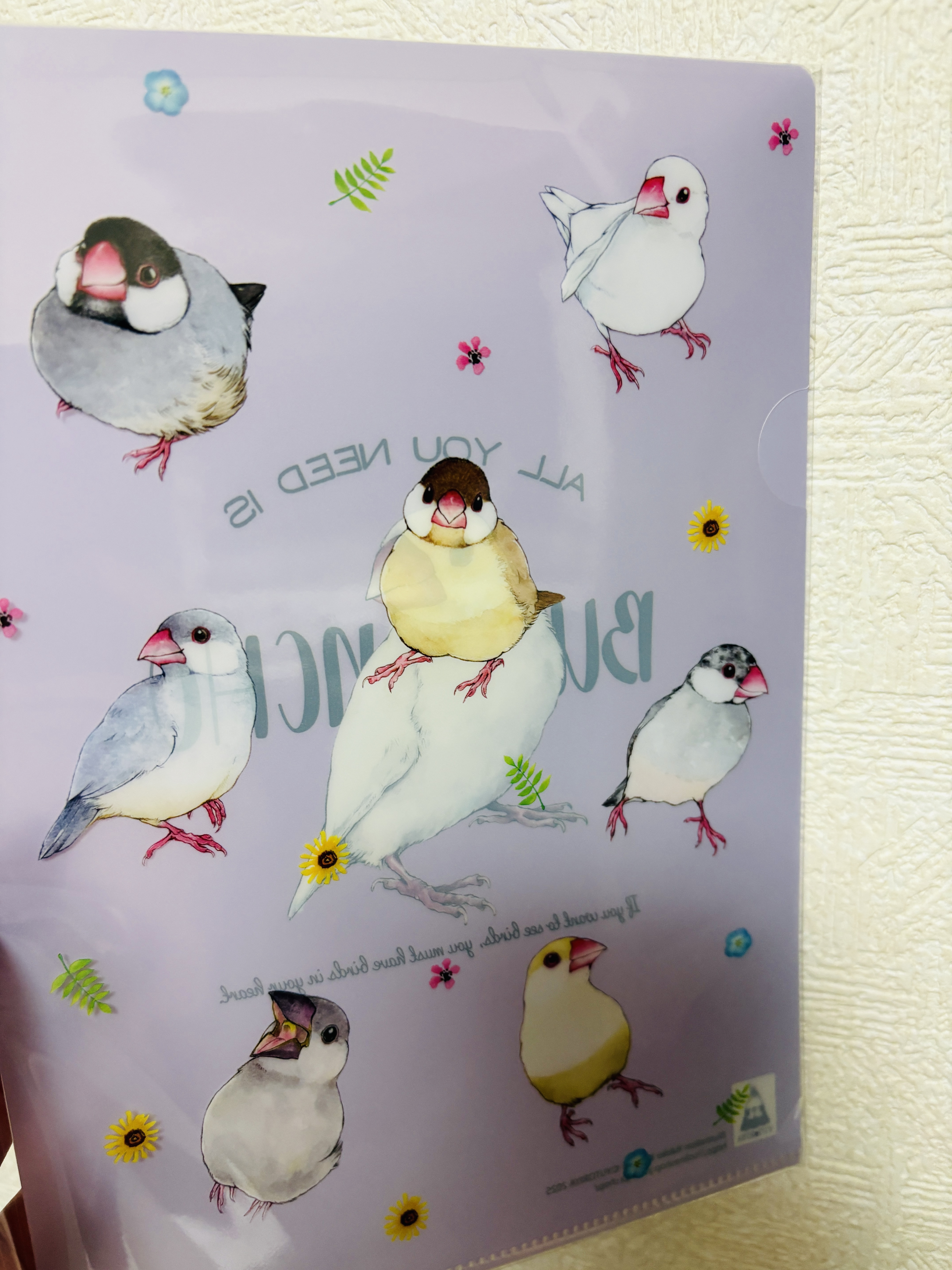 文鳥ファイル