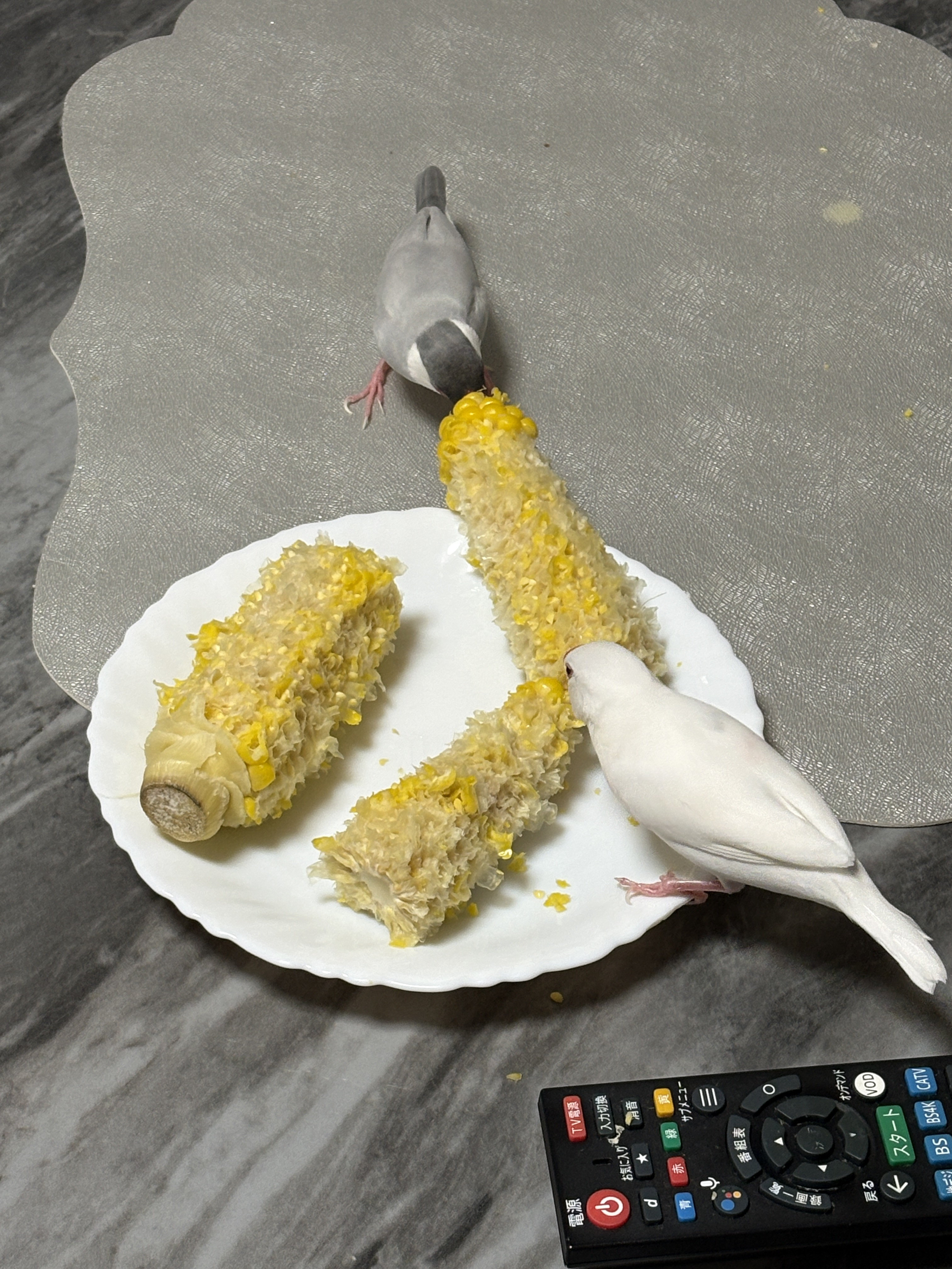 とうもろこし🌽