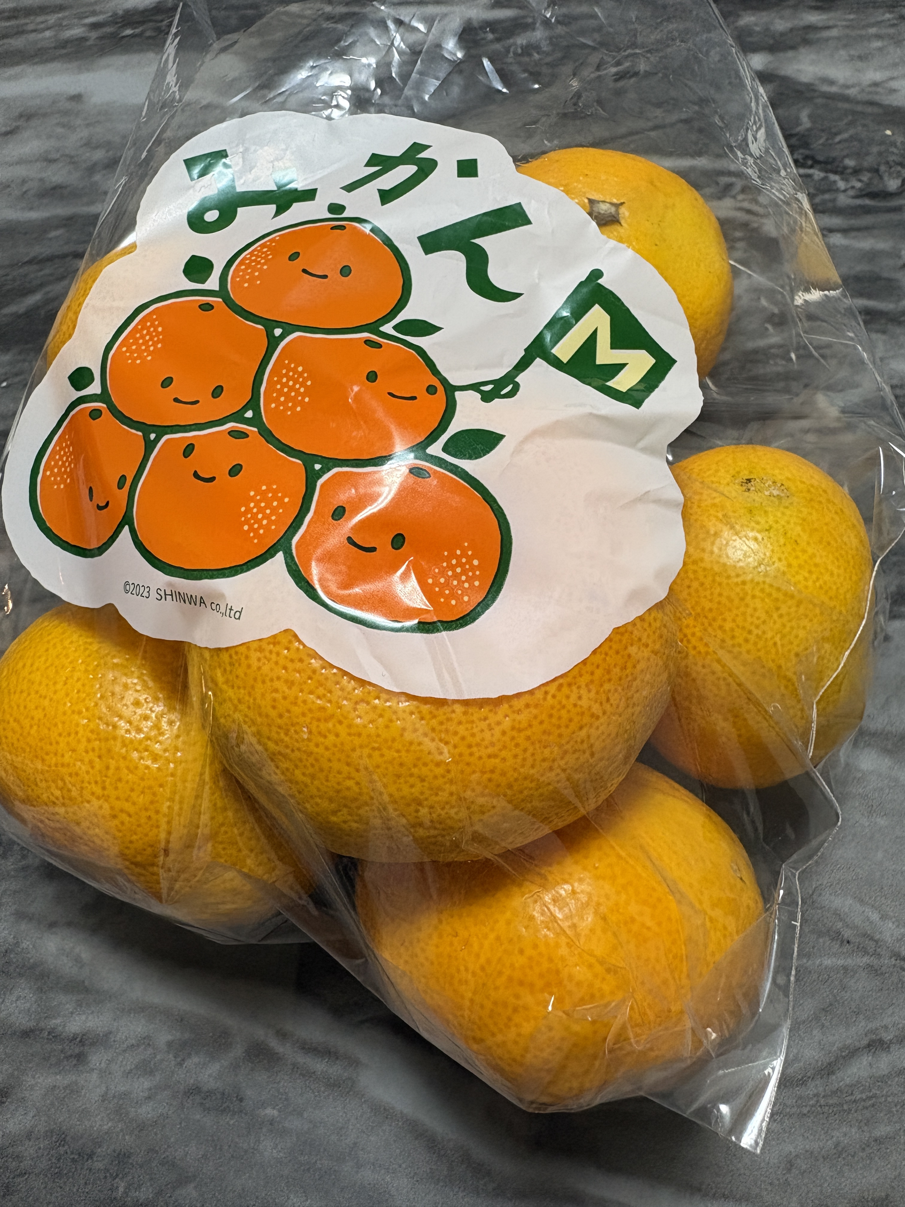 差入れⅡ