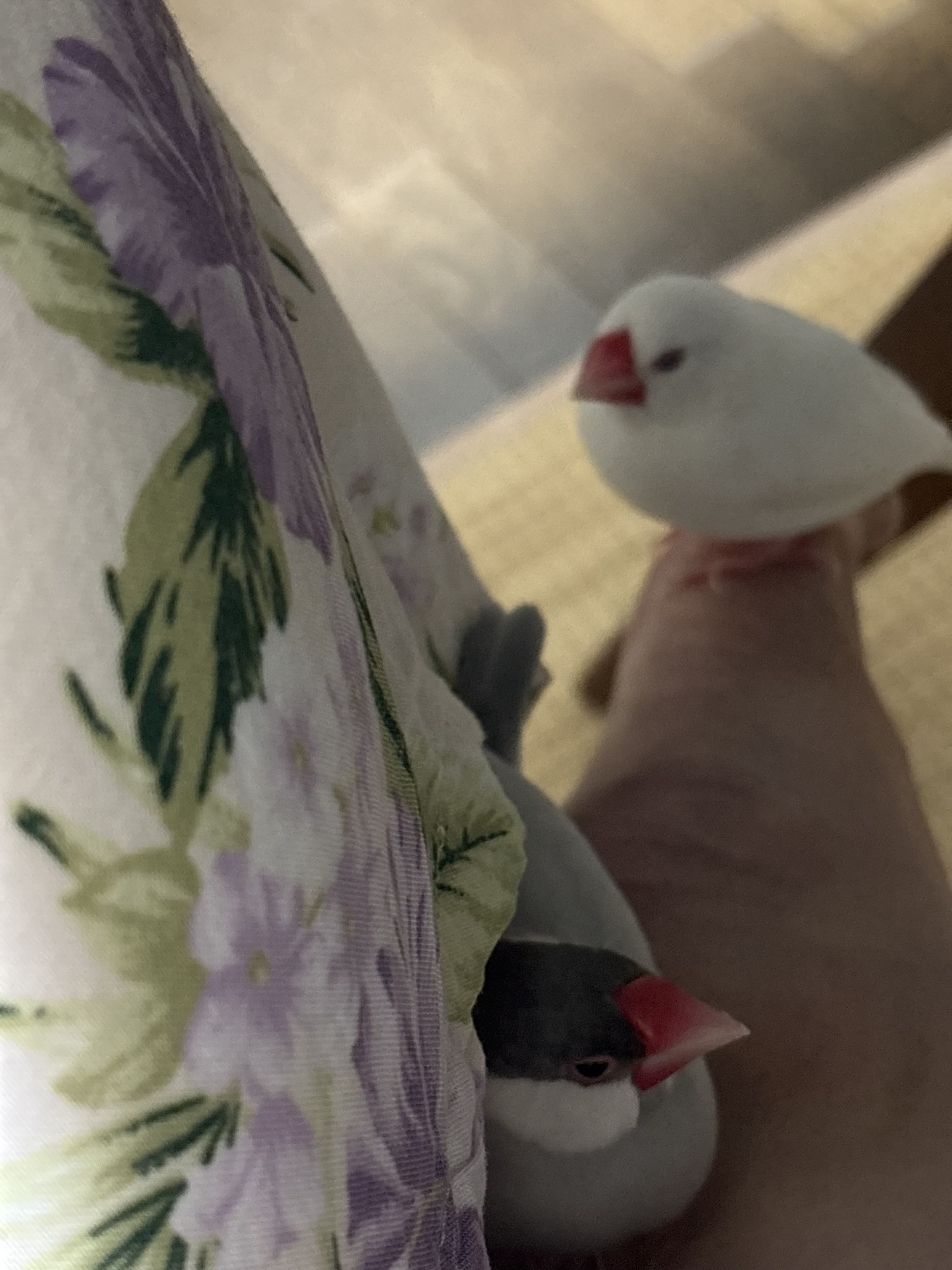 リラックスモード