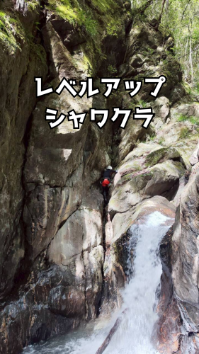 レベルアップシャワクラ.png