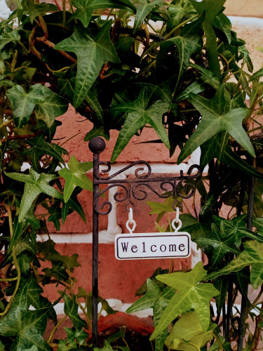 DSC_0509.jpg