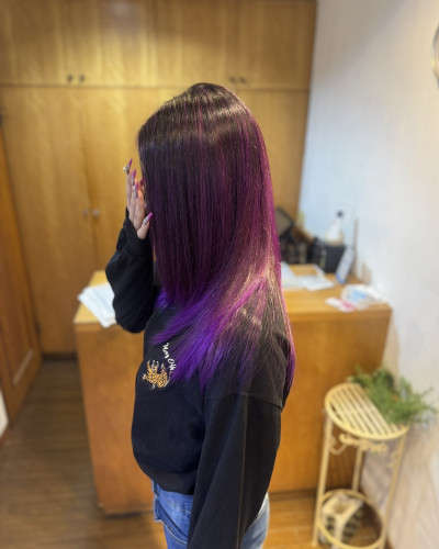 SL'レイヤー(ローレイヤー)
