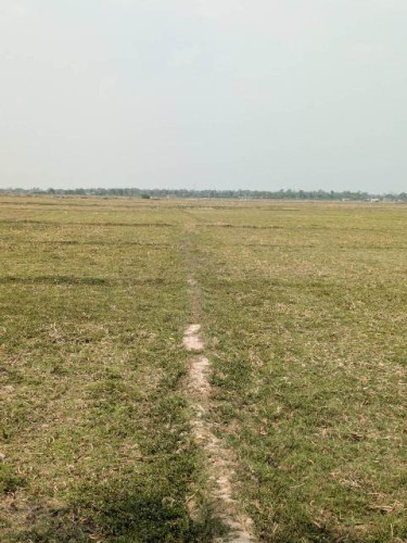 India1.jpg