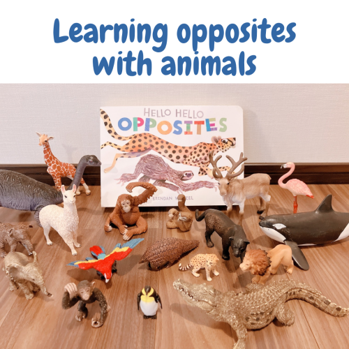 Learning opposites.png