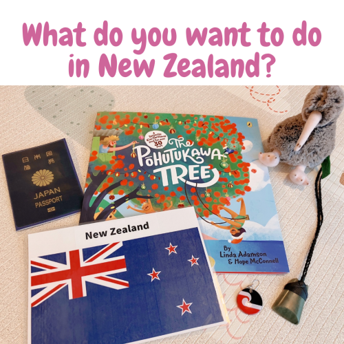What do you want to do in NZ?.png