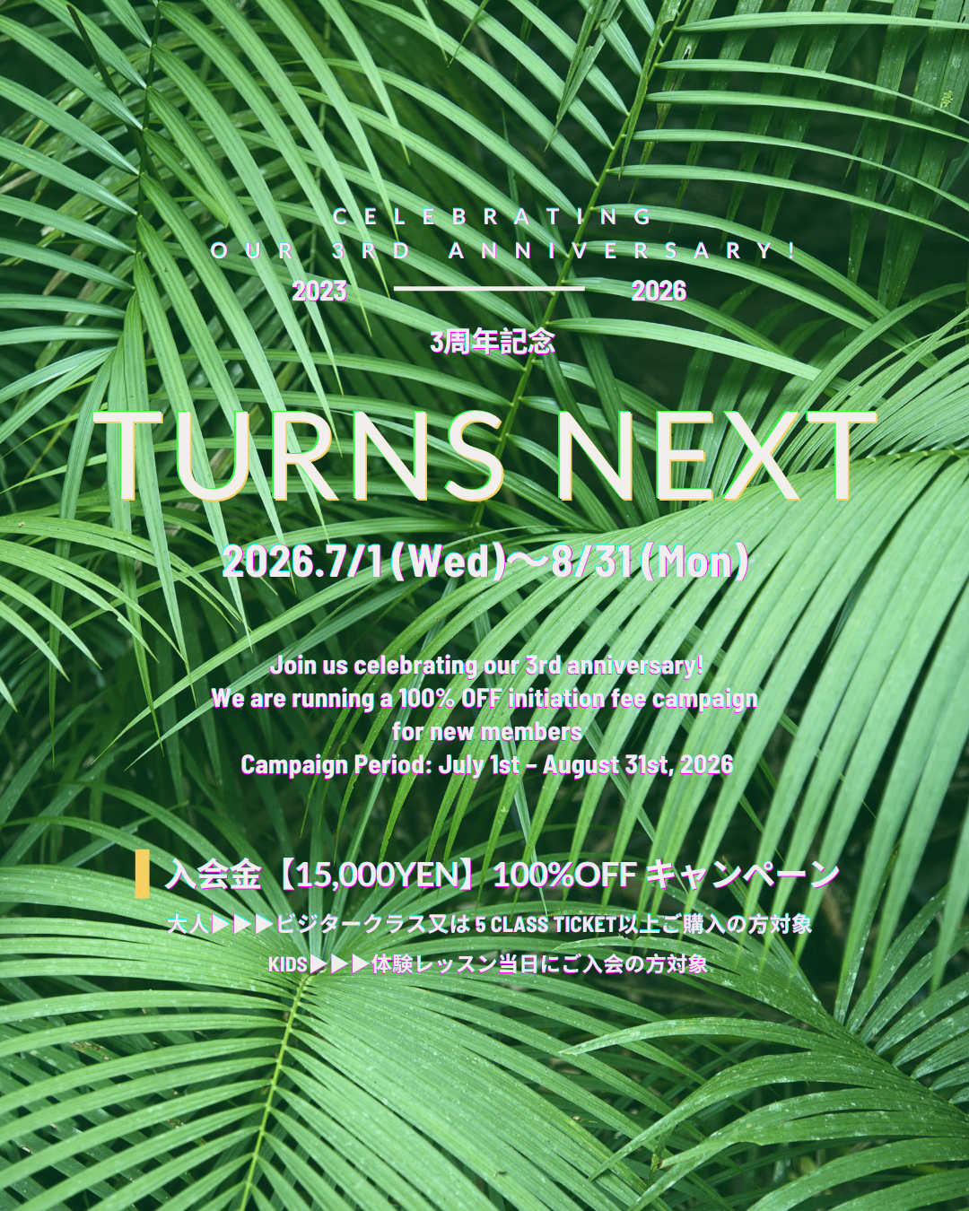🕊️✨🌴 3rd Anniversary Campaign 🌴✨🕊️