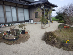 RIMG0559.JPG