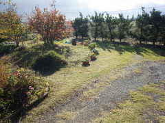 RIMG9905.JPG