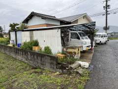 IMG-6008.jpg