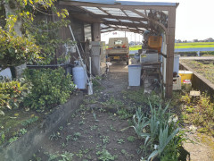 IMG-5884.jpg