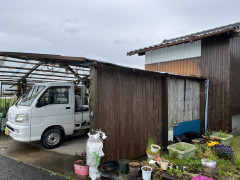 IMG-6009.jpg