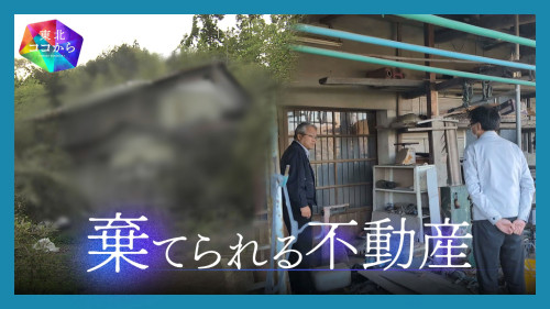20260508_東北ココからサムネ.jpg