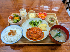 ハンバーグランチ