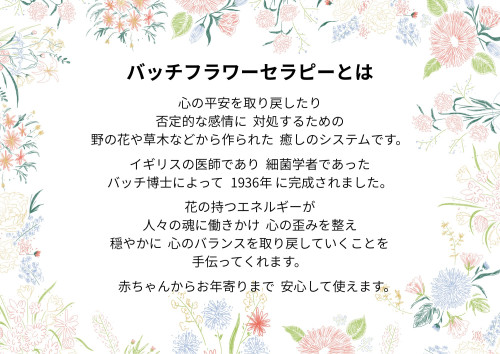 白 パステル ナチュラル  花  カラフル  フレーム  A4 横  枠.jpeg