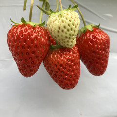 IMG_6884.jpeg