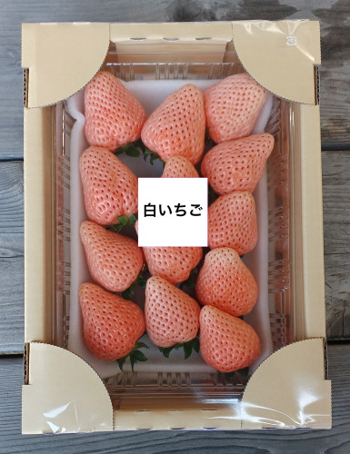 白いちご大.jpg