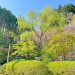 緑豊かな玉川総合公園