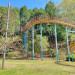 総合公園IMG_2328.JPG