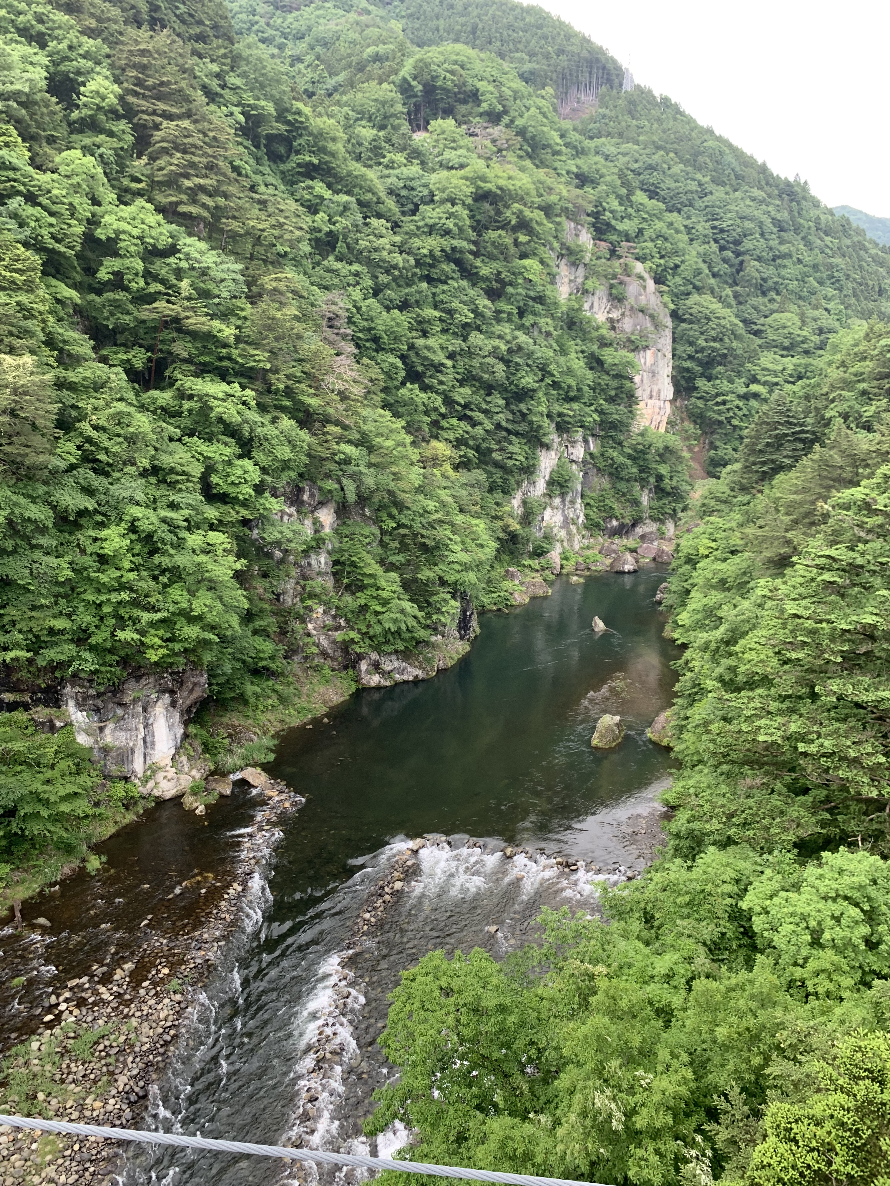 サマーキャンペーン⭐︎