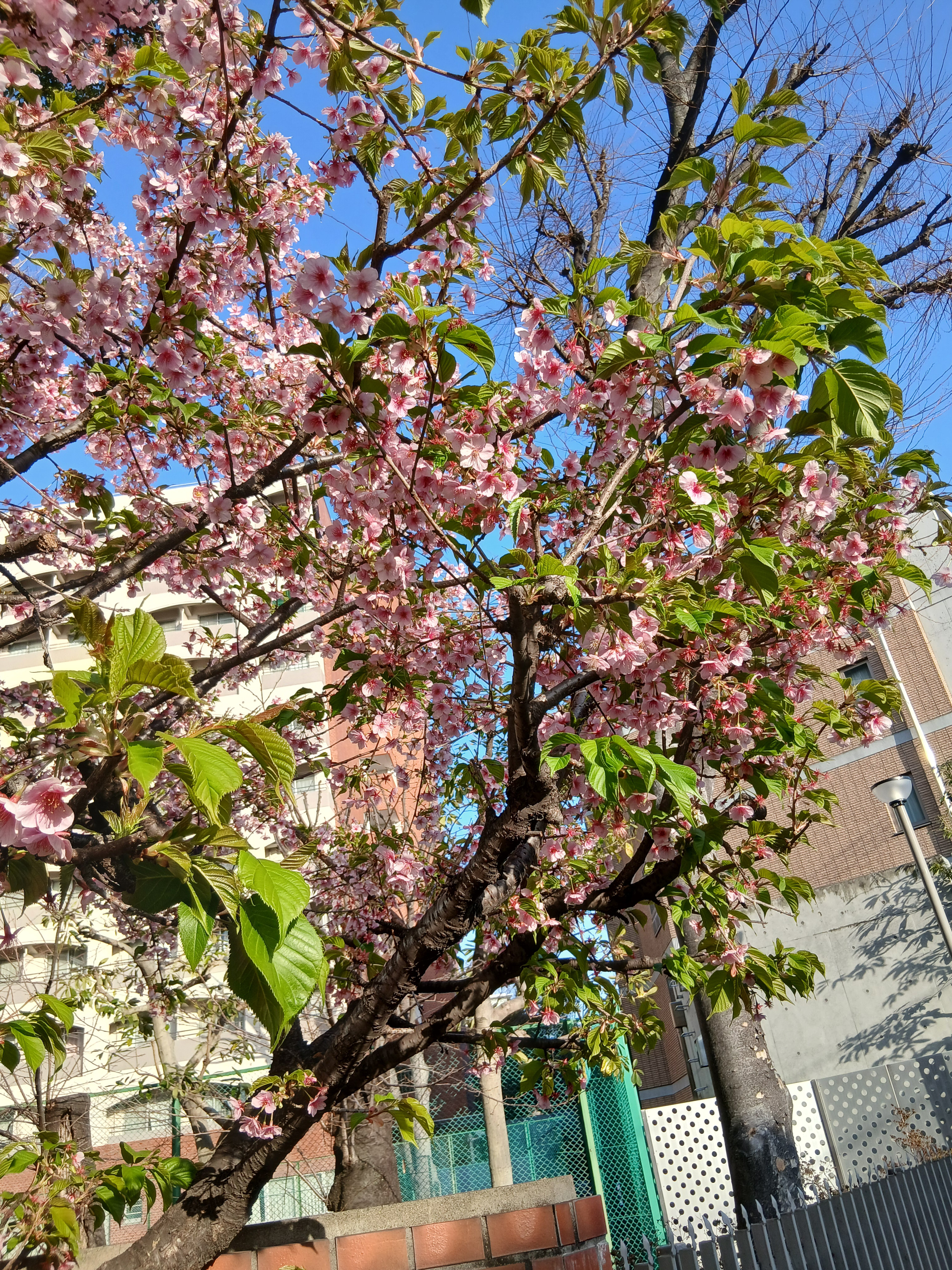 お問い合わせは