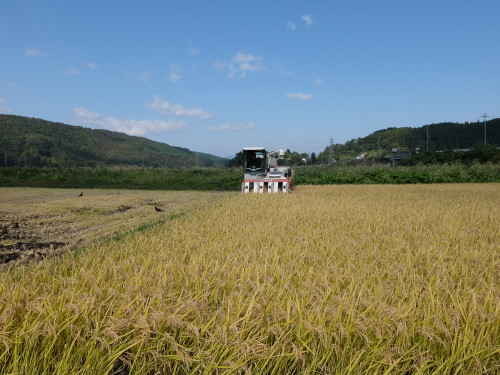 DSCF0649.JPG