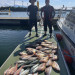 IMG_1768.jpeg