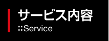 btn_service.gif