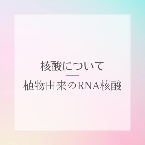 DNA/RNA細胞の「核」を構成するのが核酸