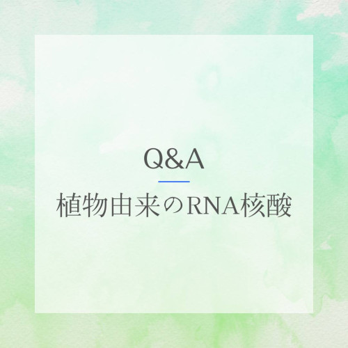 核酸 Q＆A