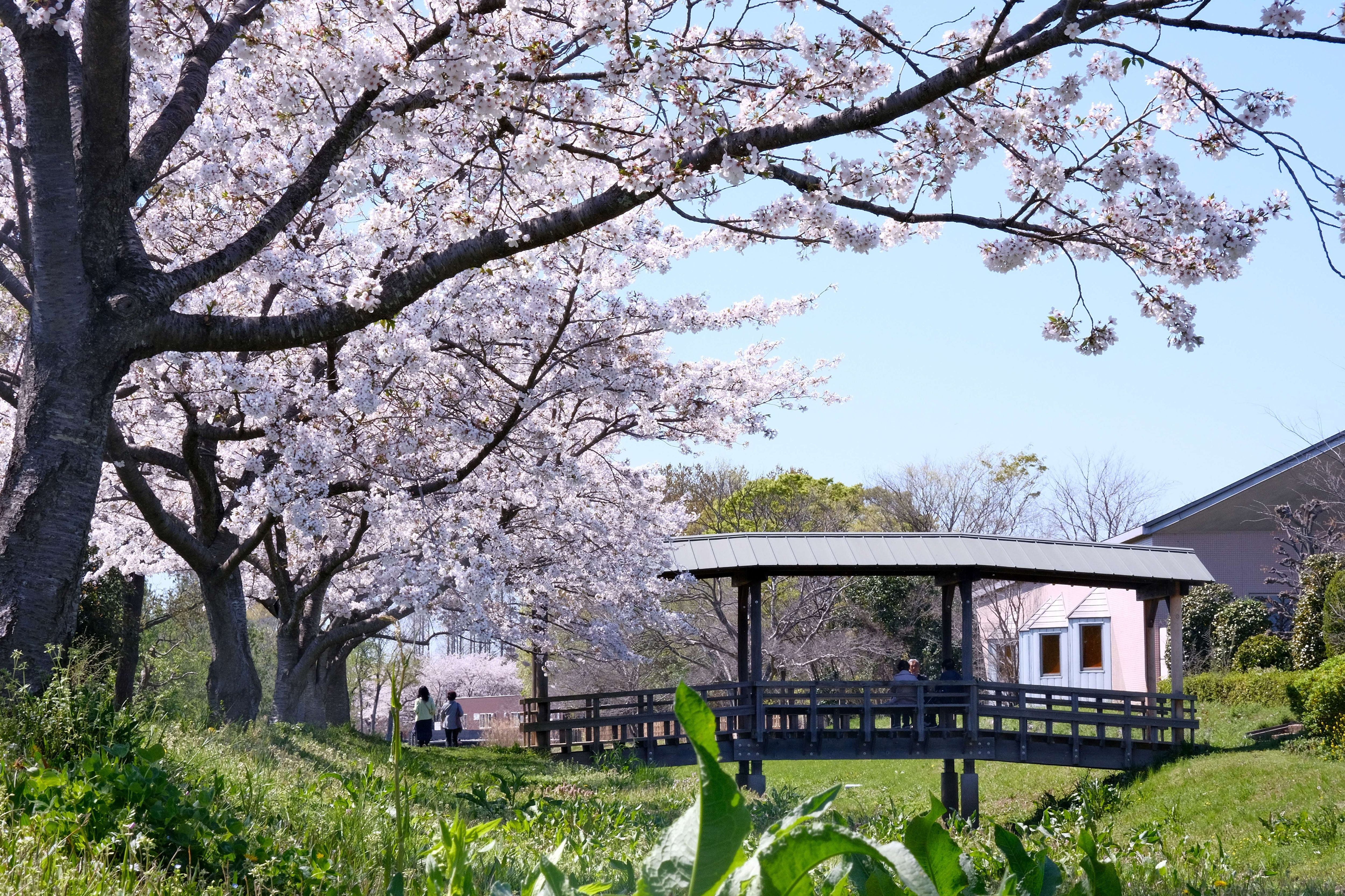 古民家の宿 奈味