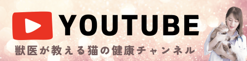 スクリーンショット 2025-05-26 0.19.05.png