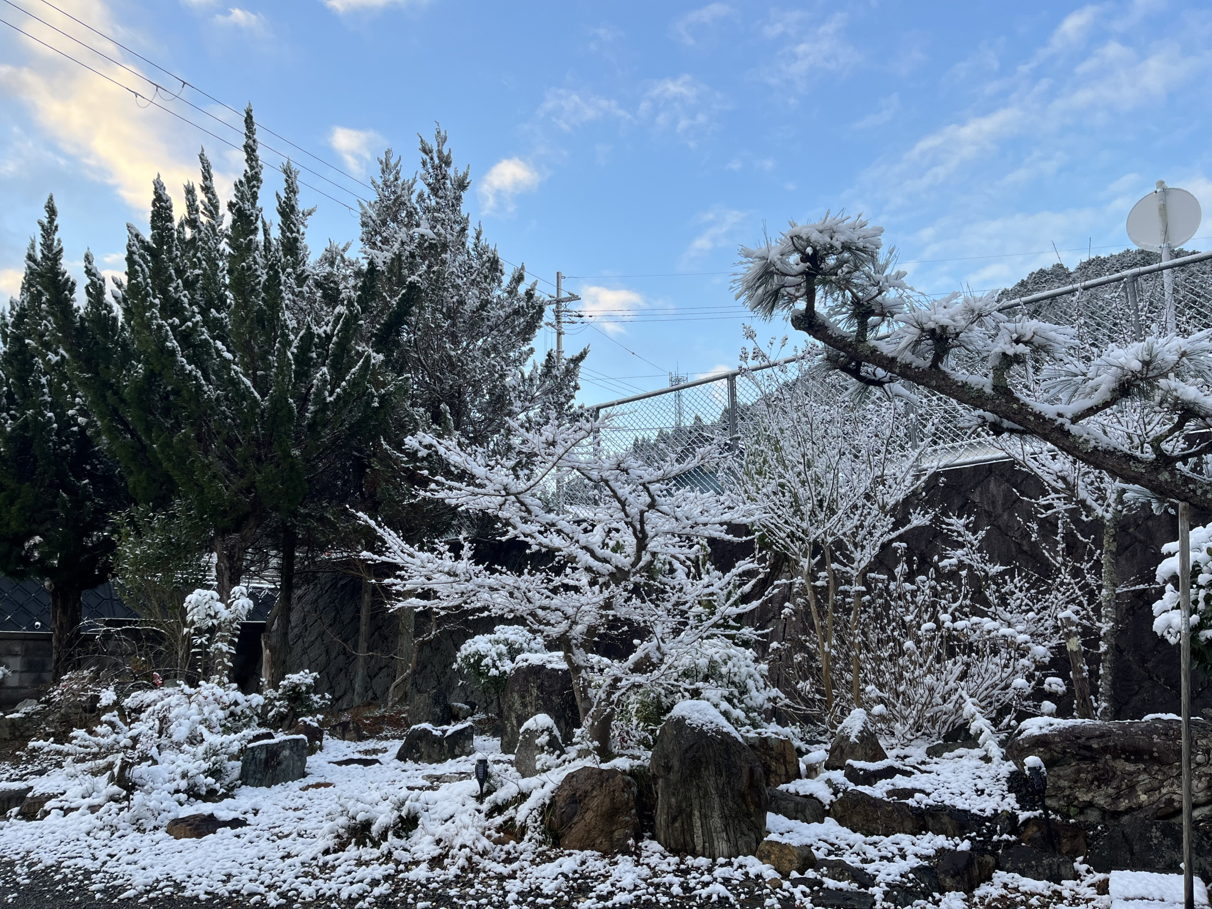 庭の雪景色