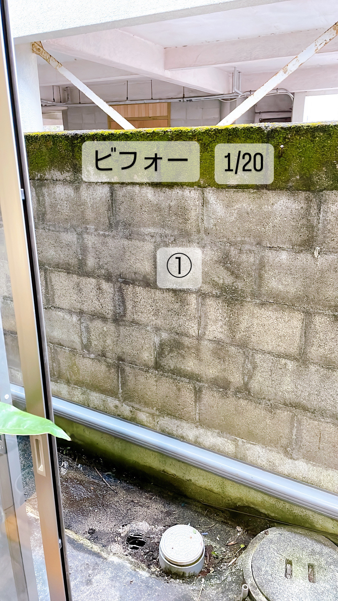 加工前の殺風景なブロック塀（ ;  ; ）