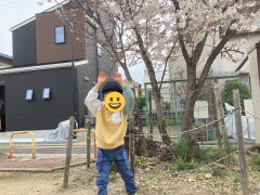 はるくん.jpeg