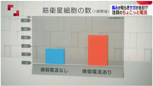 スクリーンショット 2024-10-15 045718.png