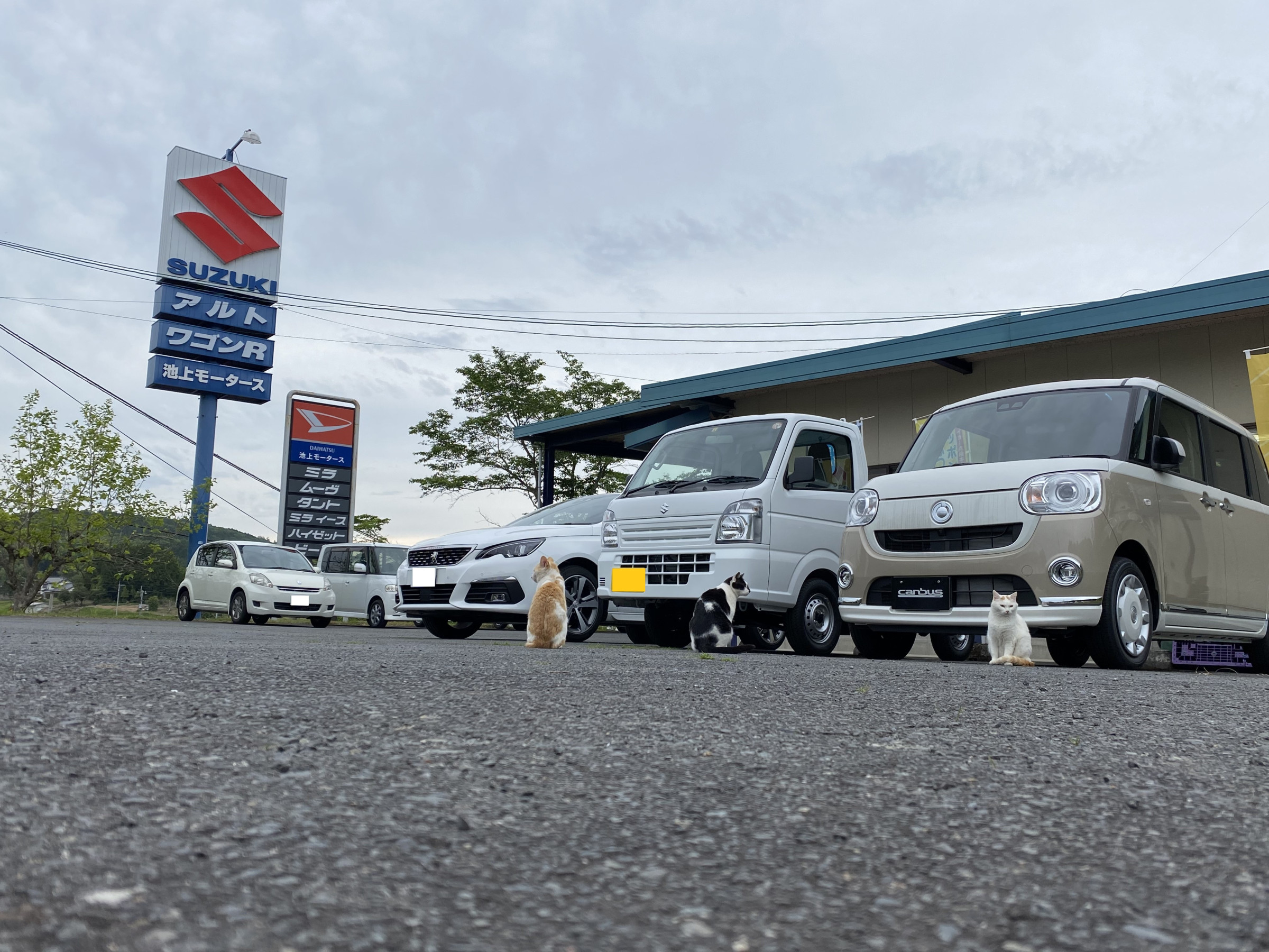 株式会社池上モータース 自動車特定整備事業場