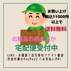 おおか_20241220_203034_0000.png