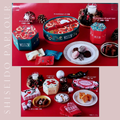 shiseido_20241223_180447_0000.png